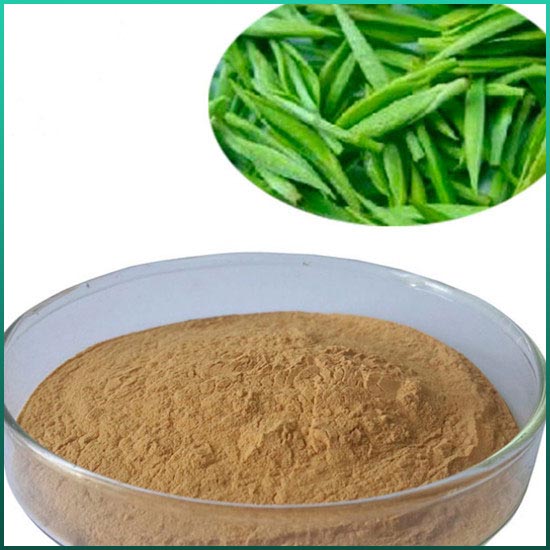 Eidem virtus, effectus viridis tea Extract