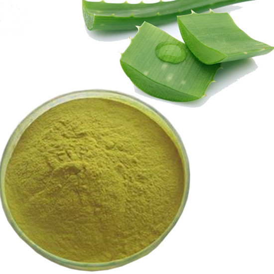 Aloe Vera Extract Pulvis