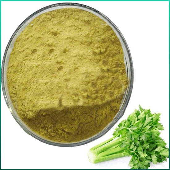 Apium Extract Apigenin